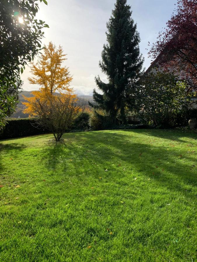Apartmán Haus Am Pfingstborn Ober-Mörlen Exteriér fotografie